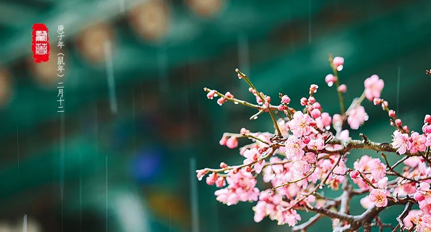 驚蟄一聲雷，葆德送春風