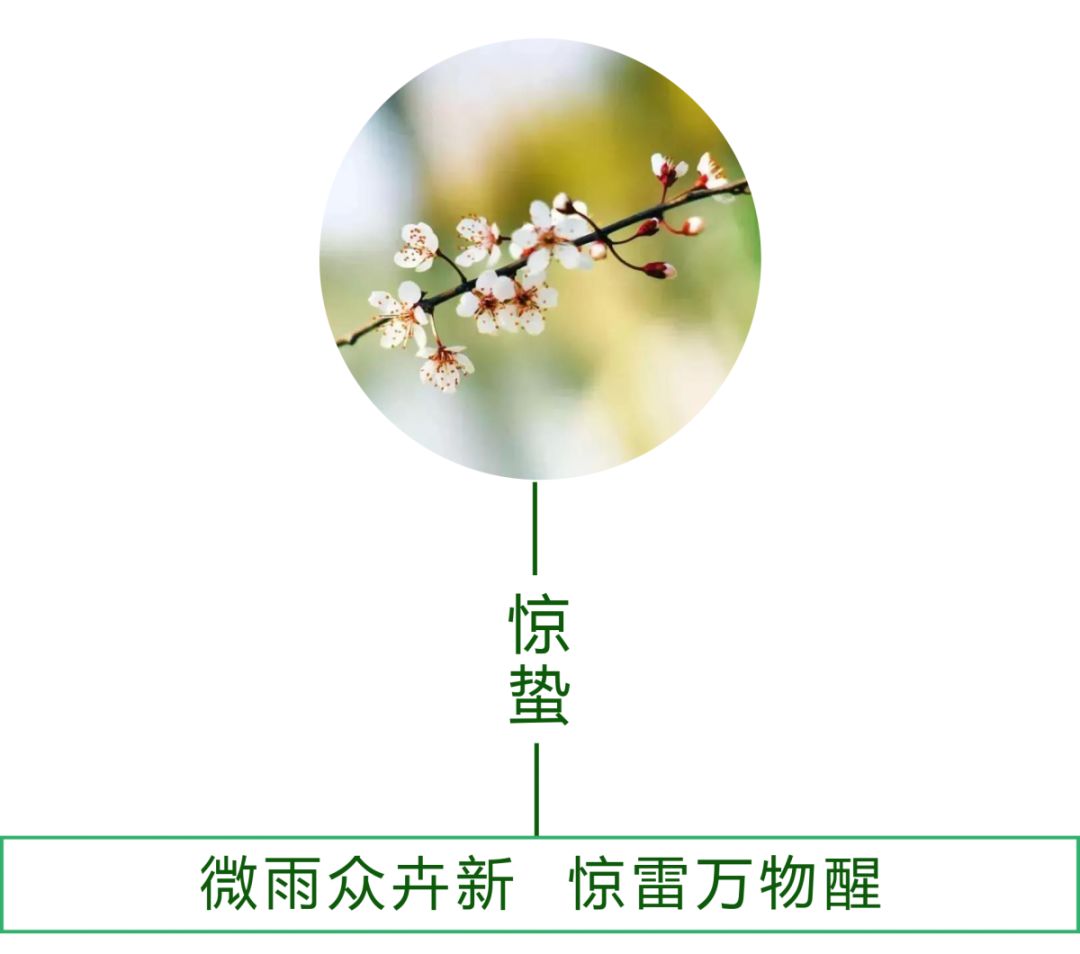 驚蟄一聲雷，葆德送春風