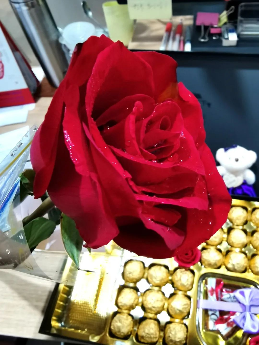 女神專屬 | 來自葆德的實力寵愛