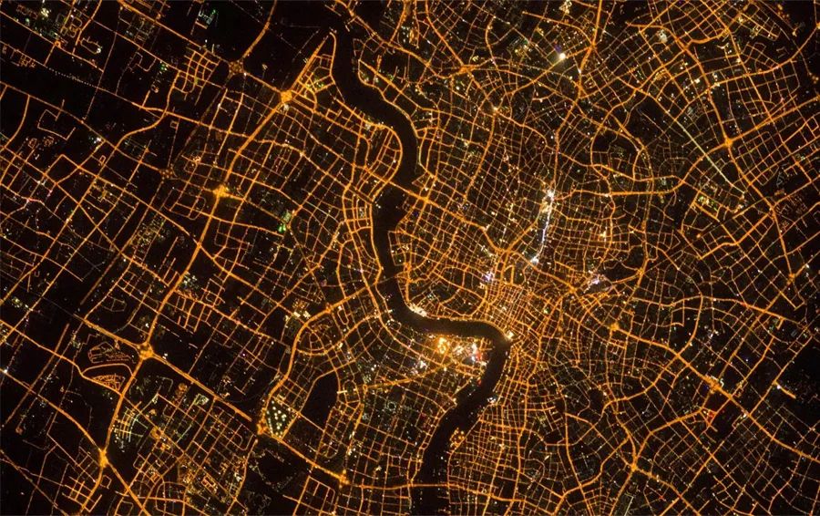 植樹節 | 保護地球,葆德做起