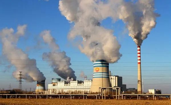 植樹節 | 保護地球,葆德做起