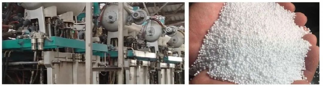 口碑爆棚|葆德又簽下一位年輕級節能代言人