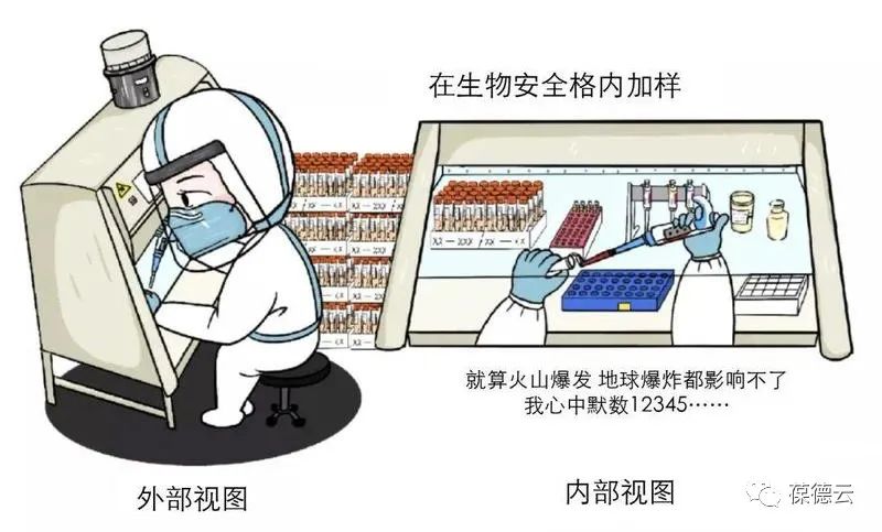 圖解核酸檢測，助力抗疫，葆德一直在行動!