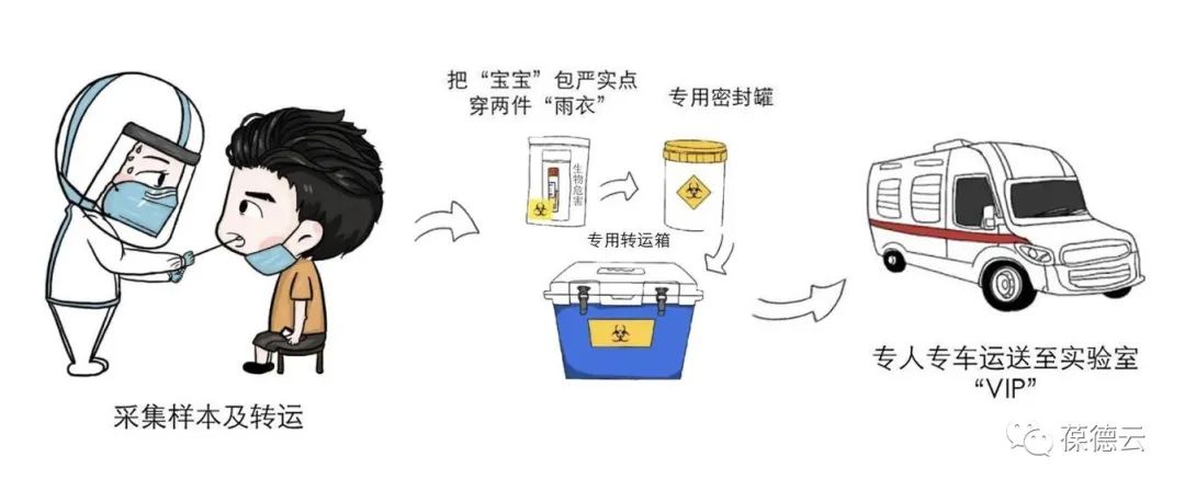 圖解核酸檢測，助力抗疫，葆德一直在行動!