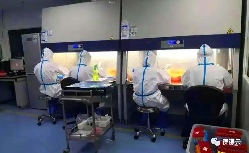 圖解核酸檢測，助力抗疫，葆德一直在行動!