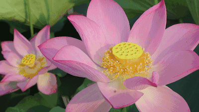 葆德貼心關(guān)懷，空壓機防高溫有妙招！