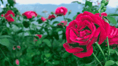 葆德貼心關(guān)懷，空壓機防高溫有妙招！