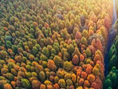 “錯峰用電”與“新階電價”，企業(yè)生產(chǎn)如何實現(xiàn)科學節(jié)能？