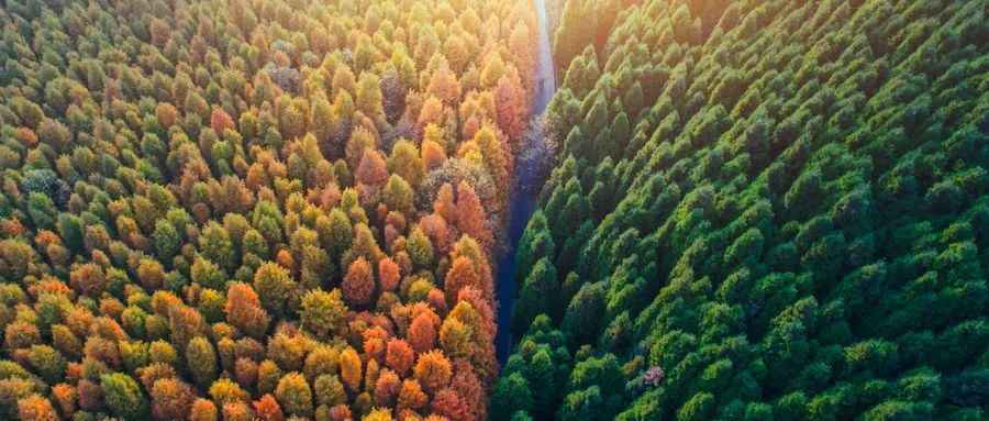 “錯峰用電”與“新階電價”,企業(yè)生產(chǎn)如何實現(xiàn)科學節(jié)能?