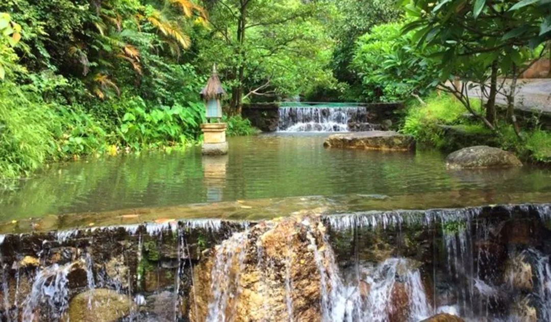 專注空壓機行業 快樂工作 認真生活｜葆德集團2021年度感恩之旅！