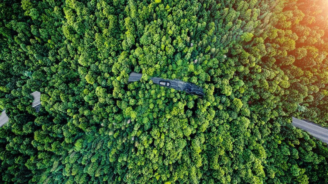 世界環(huán)境日 | 空壓機(jī)也能“光合作用”?葆德與您共建清潔美麗世界!