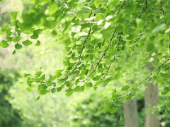 來(lái)自葆德的夏日雪糕，空壓機(jī)預(yù)防“中暑”有攻略！