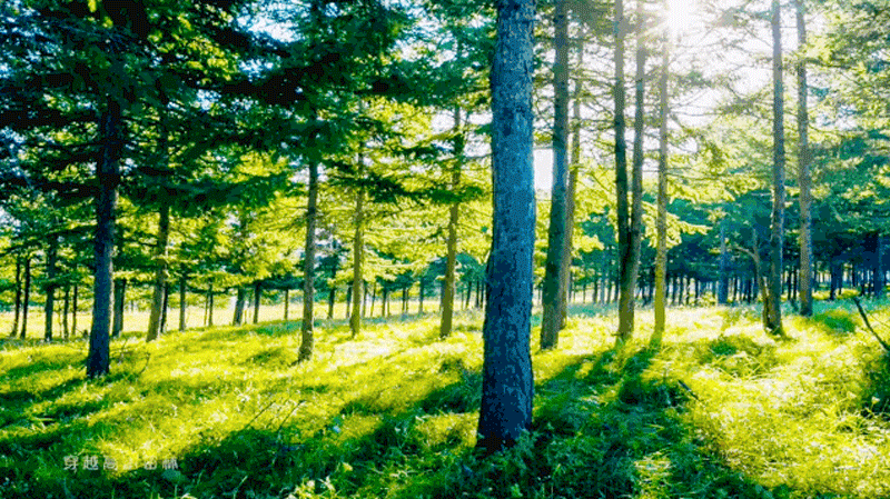 葆德數(shù)字化工業(yè)節(jié)能解決方案，用節(jié)能數(shù)據(jù)“云植樹”