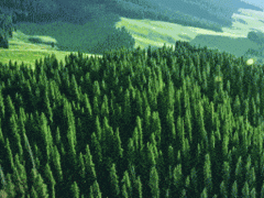 與時代，共卓越 |從中國制造到中國驕傲，國貨的齒輪開始轉動！