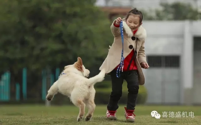 C:\Documents and Settings\Administrator\妗岄潰\11111111\640.webp.jpg C:\Documents and Settings\Administrator\妗岄潰\11111111\640.webp.jpg